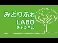 ズッキーニ、この作業をやらないと、たくさん収穫出来ません！！　～狭い庭で家庭菜園～