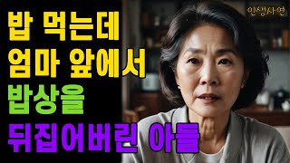 밥 먹는데 어머니 앞에서 아들이 밥상을 뒤집어버린 이유 노년의 삶의 지혜 행복한 노후생활 부모자식갈등 사연 이야기 오디오북