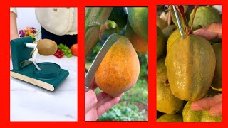 এই ফল গুলো আপনি কখনো দেখেছেন  কি These fruits you've ever seen Amar Bangla