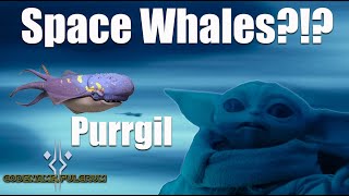 The Mandalorian - Space Whales?!? The Purrgil and why they are so important - Star Wars Explained