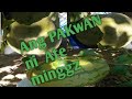 pakwan  ni ate minggz