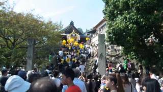 2011.10.16 荒川神社 本宮 西庄屋台 階段登り