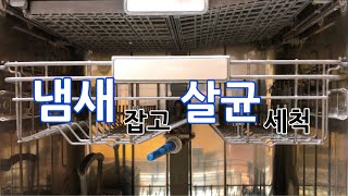 식기세척기 냄새 잡고 살균 세척하는 방법!!