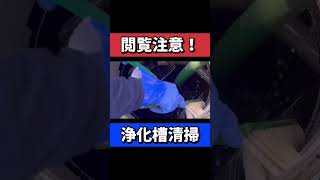 【合併処理浄化槽】バキュームカー清掃！#浄化槽#short#バキュームカー