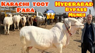 Karachi TooT Para Har Taraf Khareedar / Hyderabad Bypass Mundi / 5 February 2025