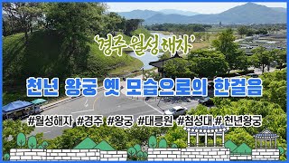 ‘경주 월성 해자’ 천년 왕궁 옛 모습으로의 한걸음