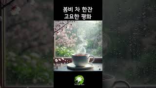 '봄비,차 한잔,고요한 평화', 'Spring Rain, A Cup of Tea, Peaceful Stillness' # Shorts