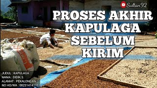 CARA PROSES KAPULAGA SEBELUM KIRIM BIAR TIDAK RUGI