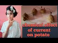 Free Energy LED Light Using Potato | Easy Science Experiment| Chemical Effect Of Current On Potato