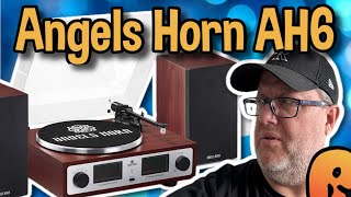 Angels Horn AH6 - System in a Box! #vinyl #turntable