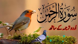 SURAH RAHMAN TARJUMA K SATH | BY QARI Al SHAIKH MUHAMMAD | QURAN TILAWAT  BEAUTIFUL VOICE | EP 249