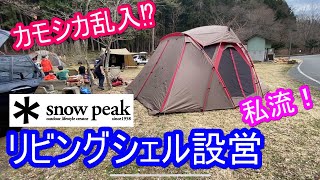 【キャンプ】snowpeakリビングシェルを私流の張り方で設営！ポイント解説！途中カモシカが乱入します。ファミリーキャンプ