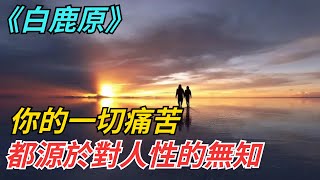 《白鹿原》中的智慧：你的一切痛苦，都源於對人性的無知【智慧點滴】#分享 #智慧 #人生感悟 #高情商