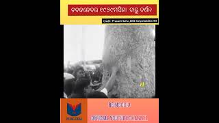 Nabakalebara 1969 Jagannath Daru // Chamapajhar #viral #shorts #youtubeshorts