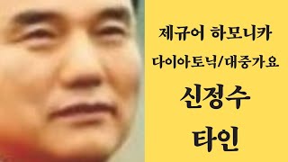 [제규어 하모니카 연주] 신정수-타인