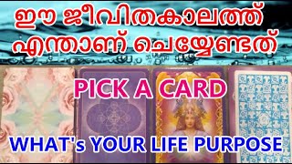 നിങ്ങളുടെ ജീവിതലക്ഷ്യം എന്താണ് / ഈ ജീവിതകാലത്ത്  എന്താണ് ചെയ്യേണ്ടത് / WHAT's YOUR LIFE PURPOSE 🙂🧿⬆️