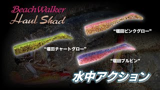 最強！釣れるツートンカラー登場！【ビーチウォーカーハウルシャッド ツートン】