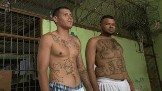 Borrarse los tatuajes, una aspiración de expandilleros en El Salvador | AFP