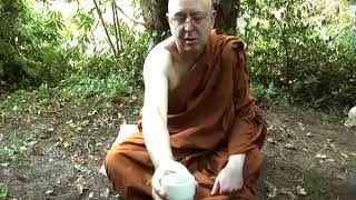 The Simile of the Cup by Ajahn Brahm