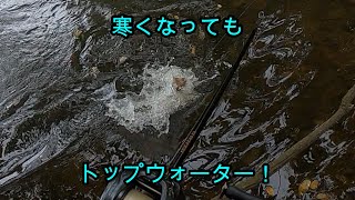 【バス釣り】結局トップが一番騙しやすい！