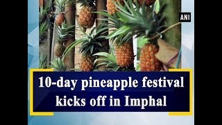 10-day pineapple festival kicks off in Imphal - #Manipur News