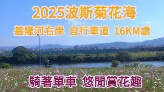 (EP.322)【2025基隆河右岸自行車道波斯菊花海】成美右岸河濱公園|美堤河濱公園|單車|電輔車|E-Bike|電動輔助自行車|捷安特 GIANT FAST SR E+