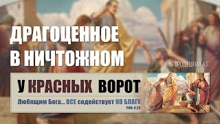 Драгоценное в ничтожном || Городецкий А.Г.