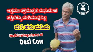 🐮ಅಸ್ತಮಾ🫁 ರಕ್ತದೊತ್ತಡ🩸 ಮಧುಮೇಹದ🍬 ಸುಳಿವಿರದು ದೇಸಿ ಹಸು ಮಹಿಮೆ importance of desi cow@krishikatte