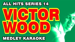 VICTOR WOOD - All Hits Series 14 (MEDLEY KARAOKE) Fraulein, A Tear Fell, Greenfields & More...