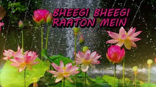 Bheegi Bheegi Raaton Mein With Lyrics | Lata Mangeshkar | Kishore Kumar | Ajanabee