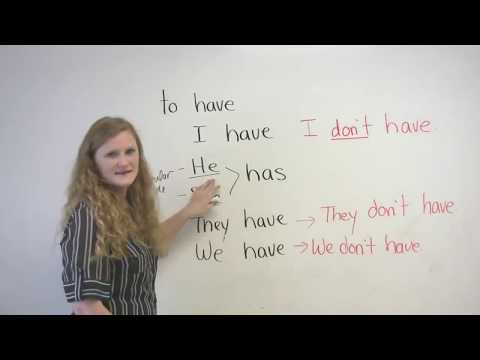 Basic English Grammar - Have, Has, Had Basic English Grammar - Have, Has, Had