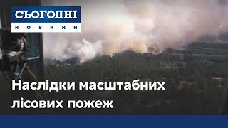 Київ у диму: дим від масштабних лісових пожеж накрив столицю