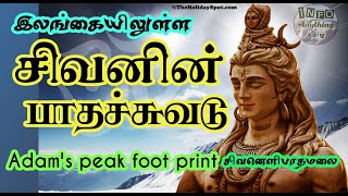 சிவனொளிபாதமலை இலங்கை | Adam's Peak Foot Print in Sri Lanka | சிவனின் பாதம்