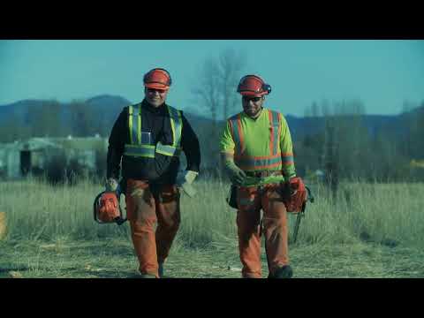 What is indigenous forestry?