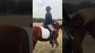 Leland 2023 USEF TRAINING LEVEL TEST 1