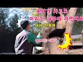 맙소사!!💥루이바오가 사고로 머리가 나무에 끼었어요😱 SOS 🚑구조 요청을 했고👀 강바오님 할부지가 걱정하며 달려 나가서 구해줬어요