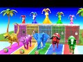 5 Giant Duck Cartoon With Tiger,Cow,Buffalo,Gorilla,Elephant,Dinosaur Fountain Crossing Animal Game