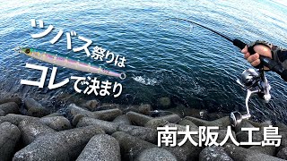 人工島のツバスと戯れる ～アタリ連発のルアーはコレでした～