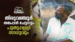 രണ്ട് കിലോ പഴം മേടിച്ച് വായിൽ വച്ചു കൊടുത്തു.., .. 20-25 മൈൽ വഴിയും അടിച്ചു. അതോടെ ആന സെറ്റ് ആയി.