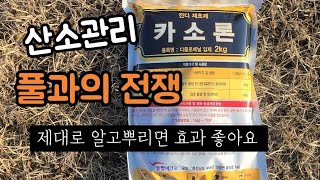 (겨울)산소관리 이시기에 이렇게만 사용 해보세요 효과 좋아요