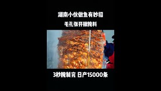 湖南小伙做鱼有妙招，毛孔张开撒腌料，3秒腌制完，日产15000条！