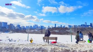 Exploring Toronto’s Snowy Streets by Streetcar! ❄️ EP 1 | Winter Wonderland