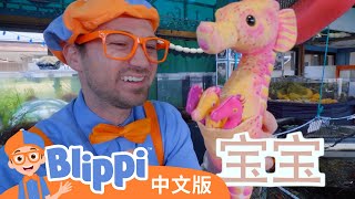 和布利皮学习水下生物 | Blippi Learns About Sea Creatures - Meet the Ocean Friends | Blippi 中文版 | 儿童教育视频 | 实景探索