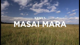 Masai Mara, Kenya | Safari365