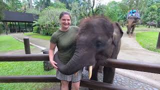 Mason elephant lodge and sanctuary in Bali, Indonesia