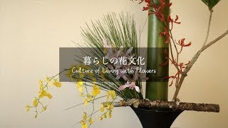 【暮らしの花文化】川崎景介の季節の花と花言葉～門松～