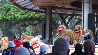 Okinawan lions