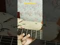 Dandelions (Ruth B) on Guitar