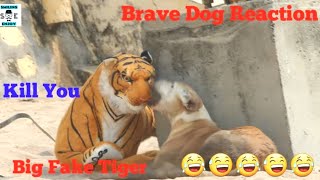 Fake Tiger Prank Dog So Funny || try to not laugh challenge must watch new funny video 2020
