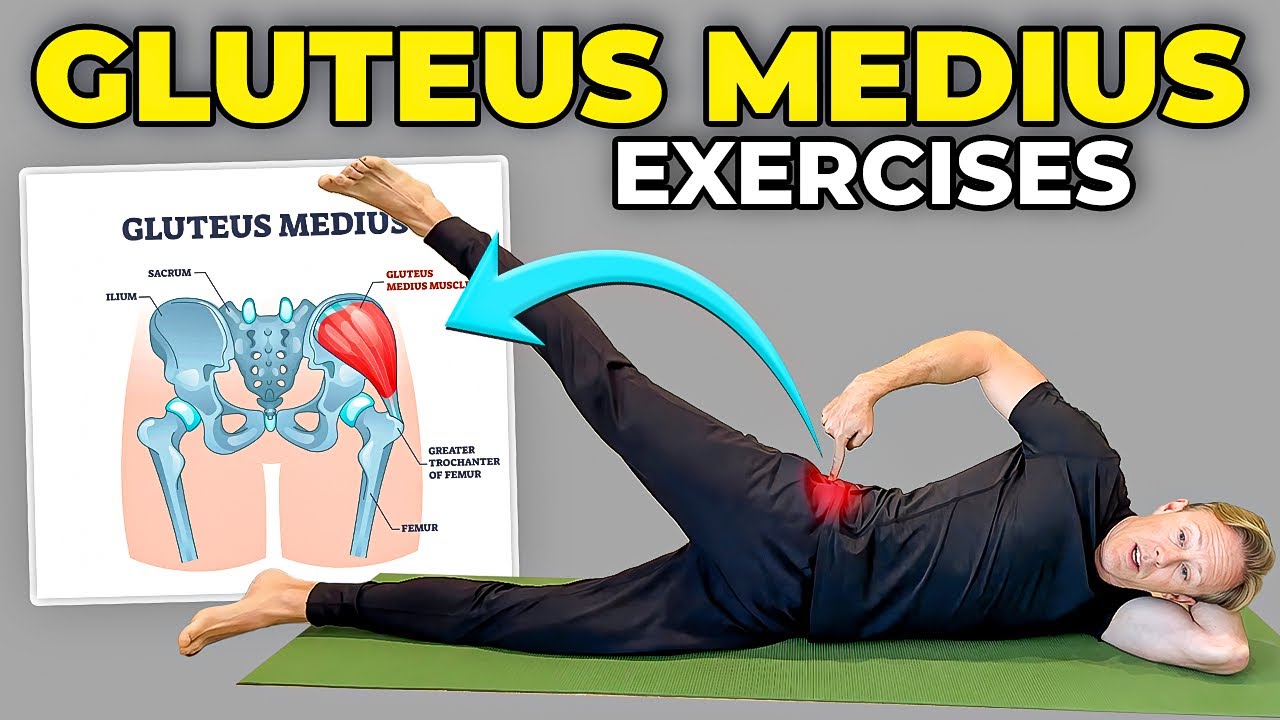 Gluteus Medius Exercises Middle Glute Exercises New Arrivals